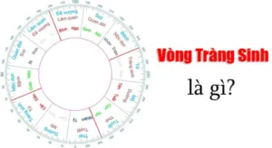 vòng tràng sinh