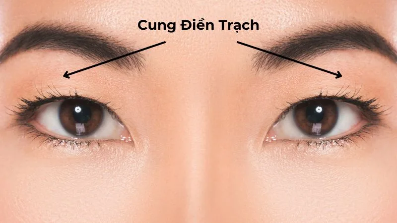 cung-dien-trach