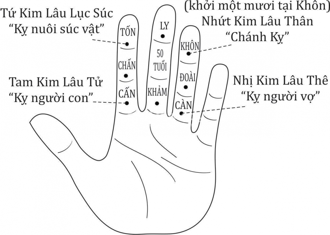 kim lâu lục súc