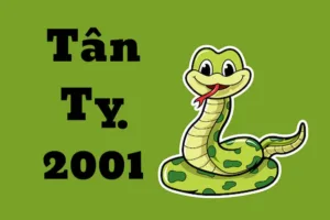 Tử vi tuổi Tân Tỵ 2001 nữ mạng năm 2024