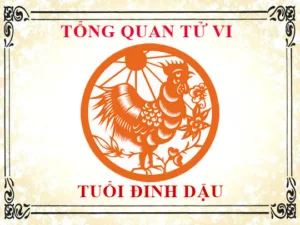 Tử vi trọn đời tuổi Đinh Dậu 1957 nam mạng