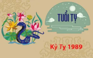 Tử vi trọn đời tuổi Kỷ Tỵ 1989 nam mạng