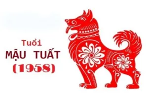 Tử vi trọn đời tuổi Mậu Tuất 1958 nam mạng